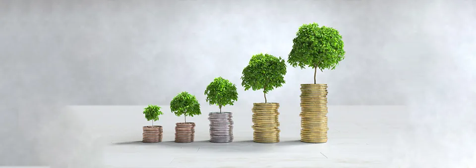 stacks of money with trees growing out out of them